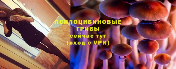 не бодяженный Зерноград