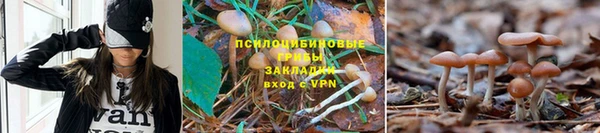 мдпв Зеленокумск