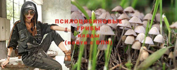 не бодяженный Зерноград