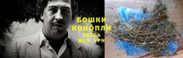 крисы Кулебаки
